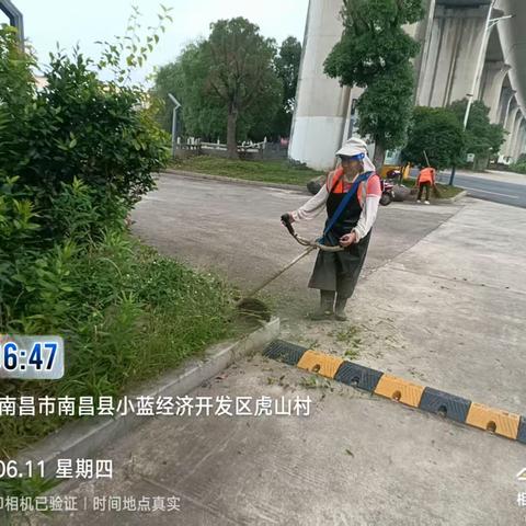 金湖环卫全域深耕 常态保洁焕新风貌