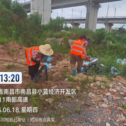 全域整治靓金湖 端午风清景更殊