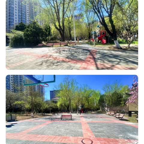 【二号院社区】“广场蝶变绘新景 居民共治展笑颜"——花园路街道志新村二号院社区探索"四季焕新"基层治理实践