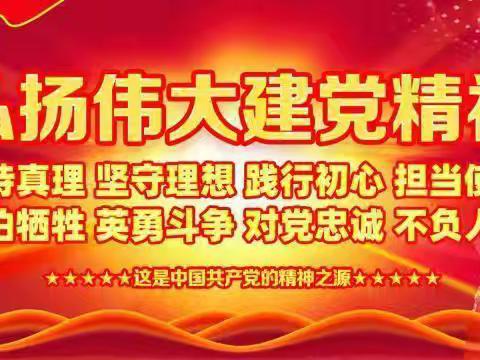 坡村村“七一”慰问老党员、困难党员活动