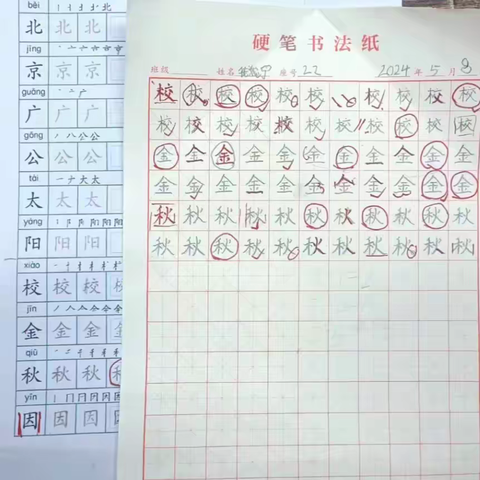 彩翼小雨蛙•学员作品微展 2024.5.7-2024.5.12