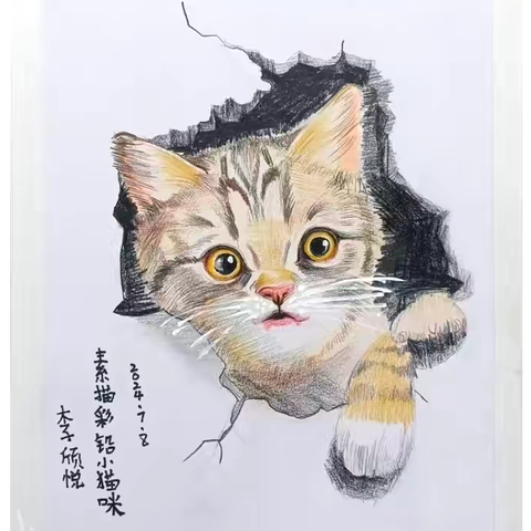 彩翼小雨蛙•学员暑期班作品 （未完待续）