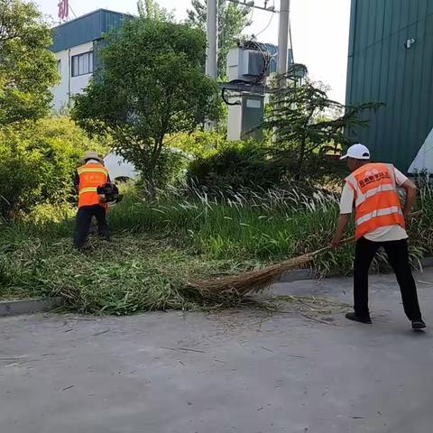 财金园区开展环境整治提升保洁水平