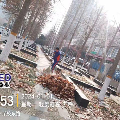 寒风落叶中坚守的环卫工人