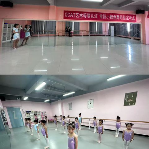 小鲸鱼舞蹈2026年招生简章