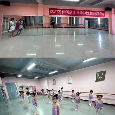 小鲸鱼舞蹈2026年招生简章