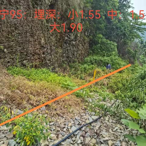 六六支线六枝段2024年6月2日巡检情况