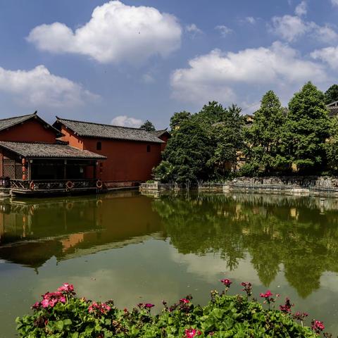 2025年中老摄协上海老年学会月浦支会摄影作品展