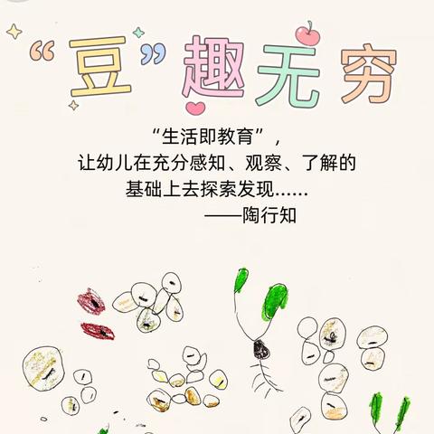 【 “”豆”趣无穷】——中二班课程故事