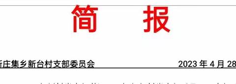 孙燕的简篇