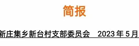孙燕的简篇