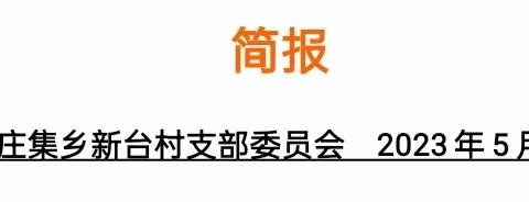 孙燕的简篇