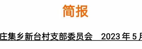 孙燕的简篇