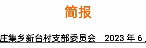 孙燕的简篇
