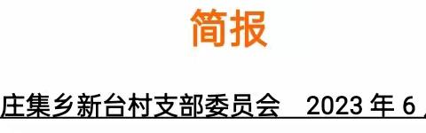 孙燕的简篇