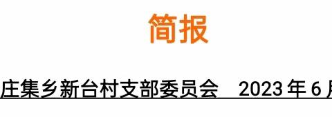 孙燕的简篇