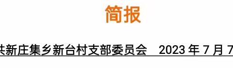孙燕的简篇