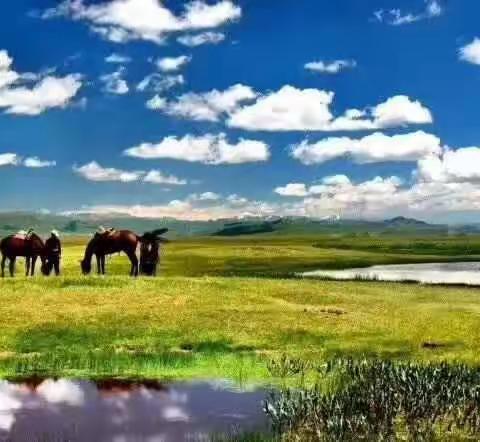 大唐旅游：2025年暑期新疆（北疆＋独库公路＋南疆）旅游线路报价表