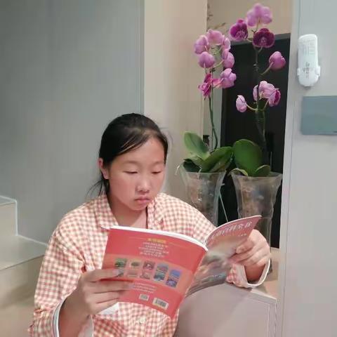 国庆阅读：铭记历史，传承和平