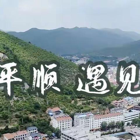 青羊快讯（第16期）