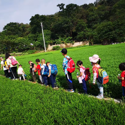 快乐于行，研学于心——美童基地暑假研学