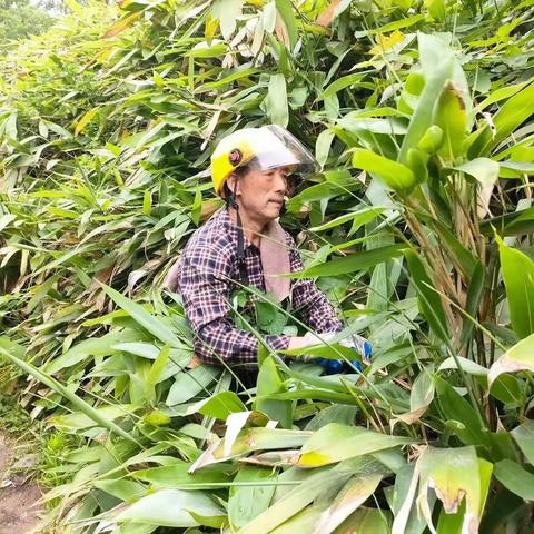 “粽情忆端午 关爱老兵心”--东阳市红星志愿服务队关爱退伍军人开展端午包粽活动