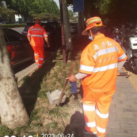 端午卫生整治活动