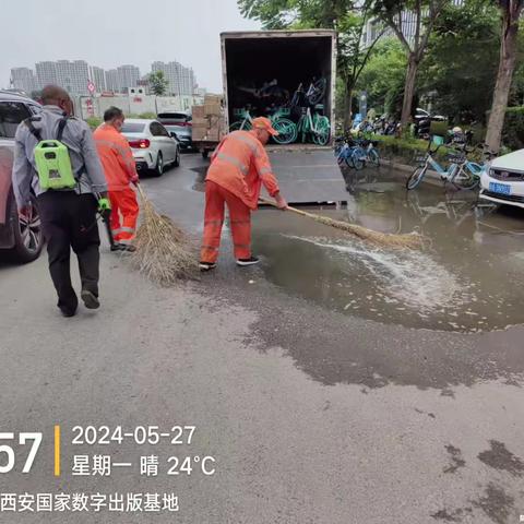 鱼化区域环卫整治工作