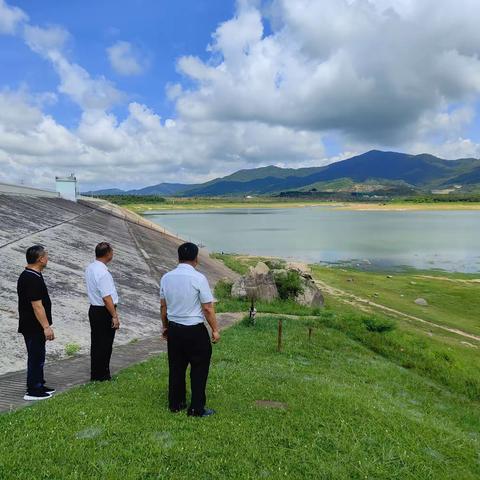 天涯区委常委、统战部部长彭建军巡查布甫村布山水库及周边酒厂进行安全检查工作