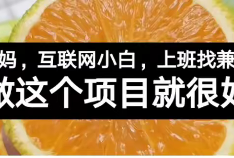 网上搞钱的方法你知道几个？盘点3个普通人都可操作的赚钱项目