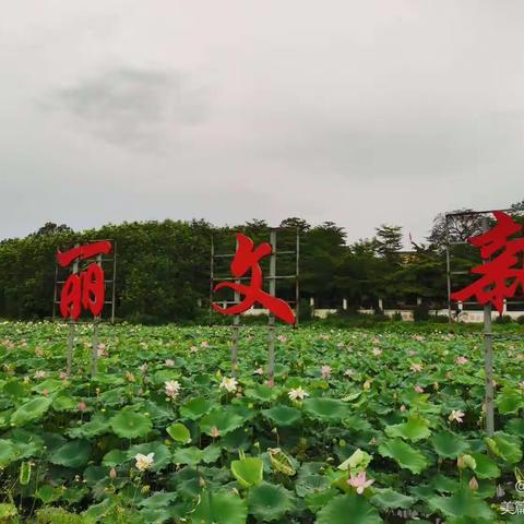 临城镇文新村委会2023年6月20日开展农村公路养护突击月