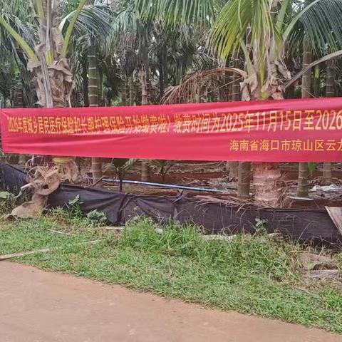 云阁村乡村振兴工作队持续开展医保缴费宣传服务活动