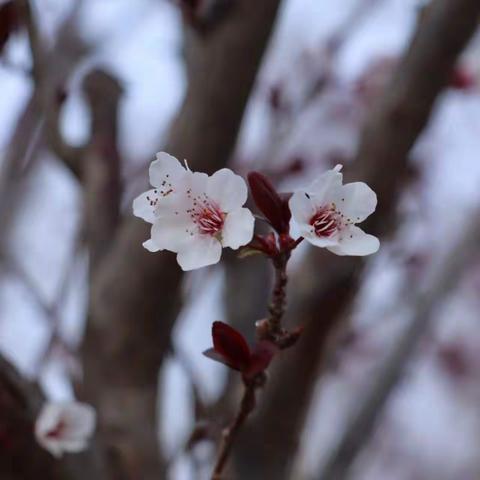 走进一年四季之春天