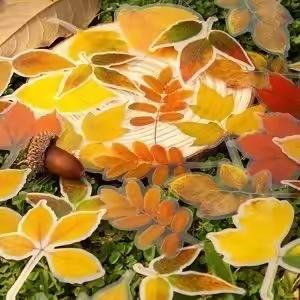 “亲近自然，拥抱秋天”—天使之翼幼儿园大一班寻找秋天主题活动