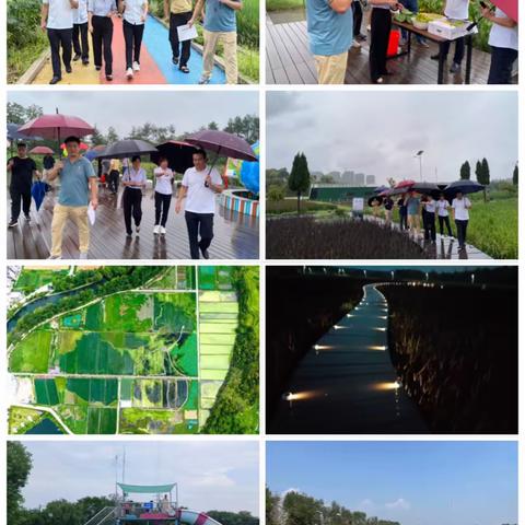 添农业发展活力，绘乡村振兴蓝图