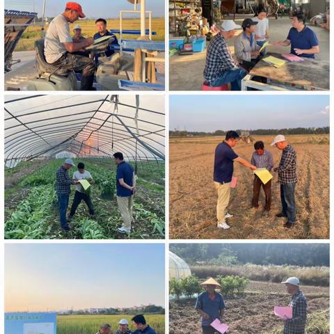 农作物秸秆禁烧在行动