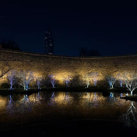玄武湖夜景，樱花初绽垂柳依依