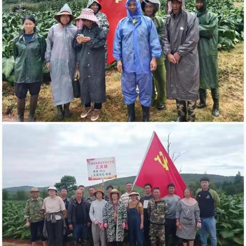 风雨无阻彰党性 砥砺前行践初心