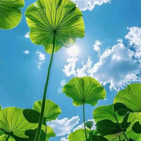 岁月织锦处，桃李芬芳时——雕刻在记忆里的时光