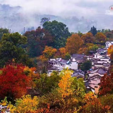 11月22～23日（周六周日）秋游行摄皖南绝美秋色：塔川+西递+卢村（不进村）+阳产土楼+屯溪老街两日游