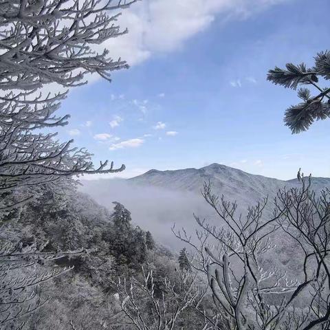 2月1日（周日）临安百丈岭追雪赏雾凇环线徒步