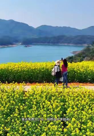 3.14（周六）徒步新昌沃州湖赏漫山金黄油菜花，探险天然奇观百丈岩飞鹰道一日游