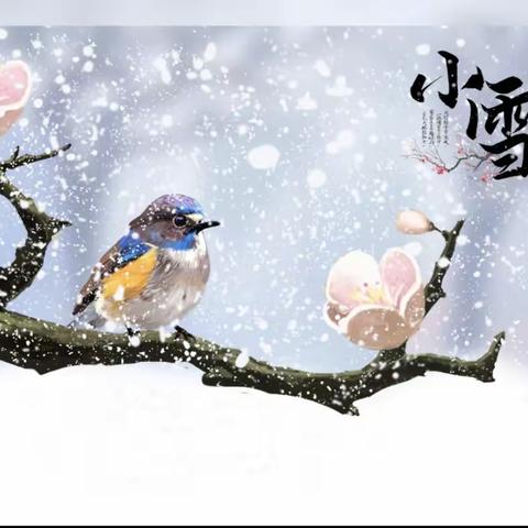 天地初寒小雪至，冬韵未满万物藏—中原大化幼儿园中班之小雪