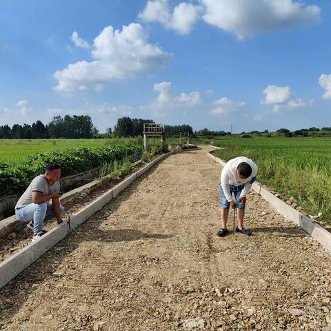 凤阳县2023较大自然村通硬化路和联网路项目