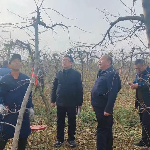 金台区老科协开展农业专家进村入户科技为民服务活动