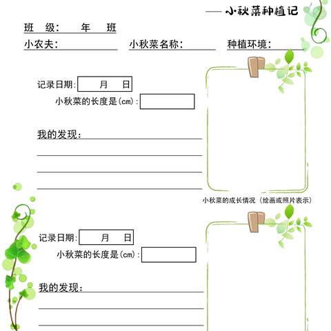 远洋小学三年级“我的小农场”项目式学习——小秋菜种植记