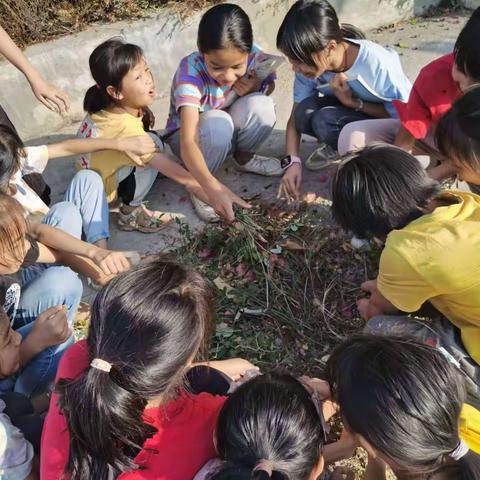 新学期   新征程————大安镇稻花小学2023年秋季期开学季