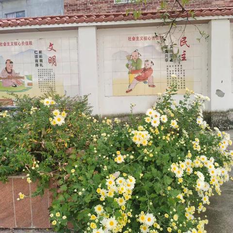 稻花小学——金秋送爽的惬意