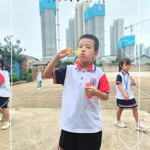 25秋子敬小学秋季科学社团结课啦～