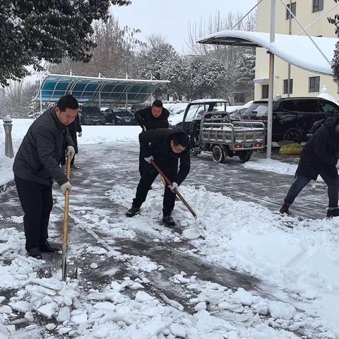 铲雪除冰，暖心护行